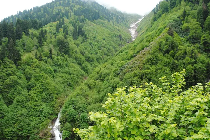 Ayder yaylası-Rize - panoramio