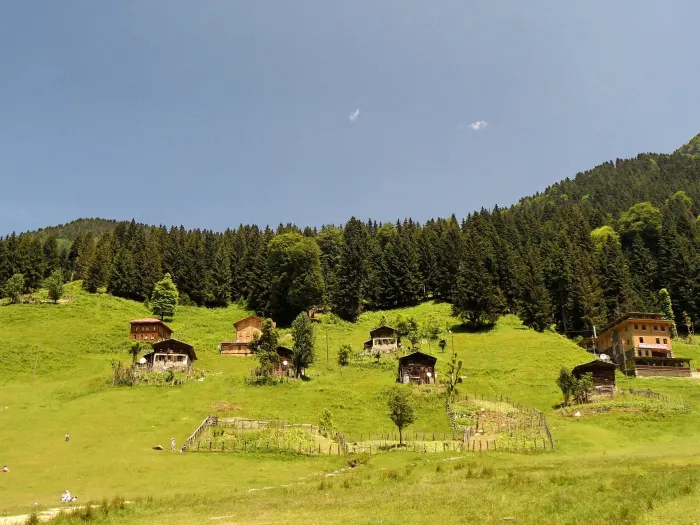 Ayder Yaylasi - panoramio (1)