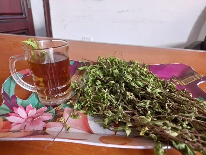 مشروب شاى النعناع