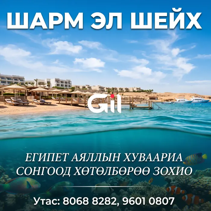 Хөтөлбөрөө өөрөө зохио!